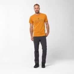 Lafuma T-shirt à Manches Courtes Sentinel 11 Lafuma T-shirt à Manches Courtes Sentinel -Vêtements de sport outdoor-Lafuma lafuma t shirt a manches courtes sentinel 4